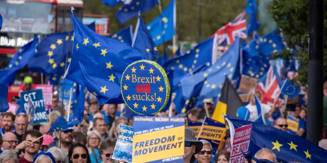 تجمع طرفداران انگلیسی اتحادیه اروپا در لندن