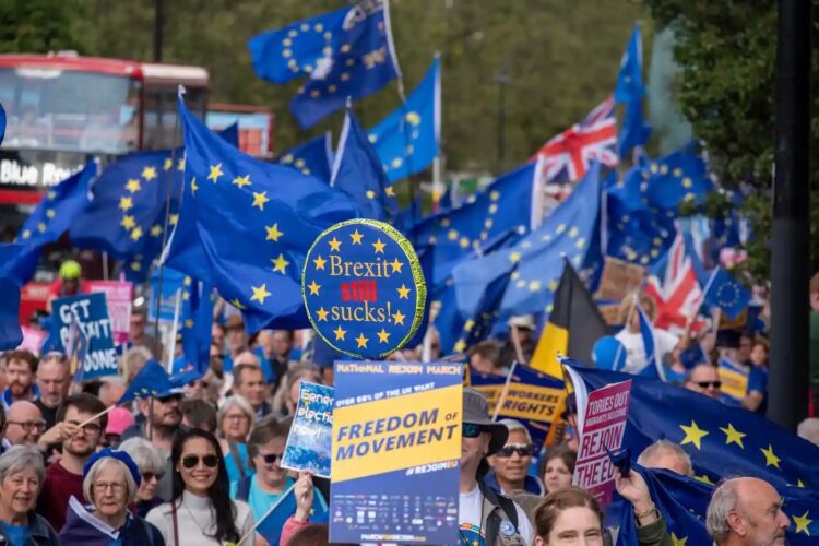 تجمع طرفداران انگلیسی اتحادیه اروپا در لندن